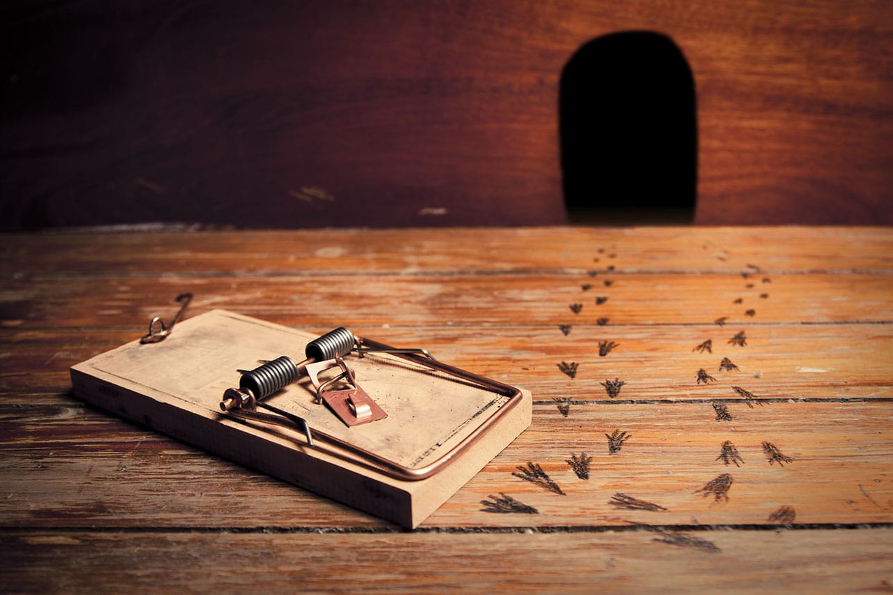 Pest Control Company Reviews Pest Control Company Reviews