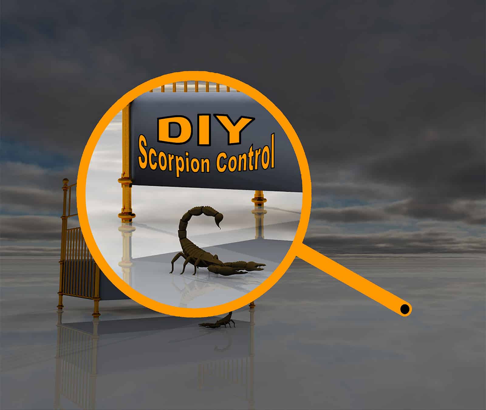 Can Scorpions Climb Walls On Facebook Can Scorpions Climb Walls On Facebook